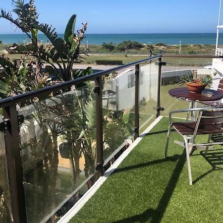 Palm Beach Guesthouse Port Elizabeth Ngoại thất bức ảnh